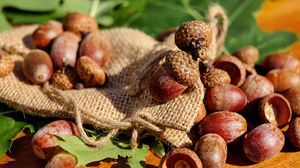 Preview wallpaper acorns, bag, nuts