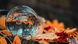 Preview wallpaper ball, glass, autumn, foliage, reflection