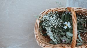 Preview wallpaper basket, flowers, grass