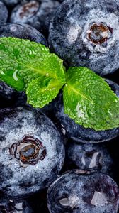 Preview wallpaper blueberries, berries, mint, wet, macro