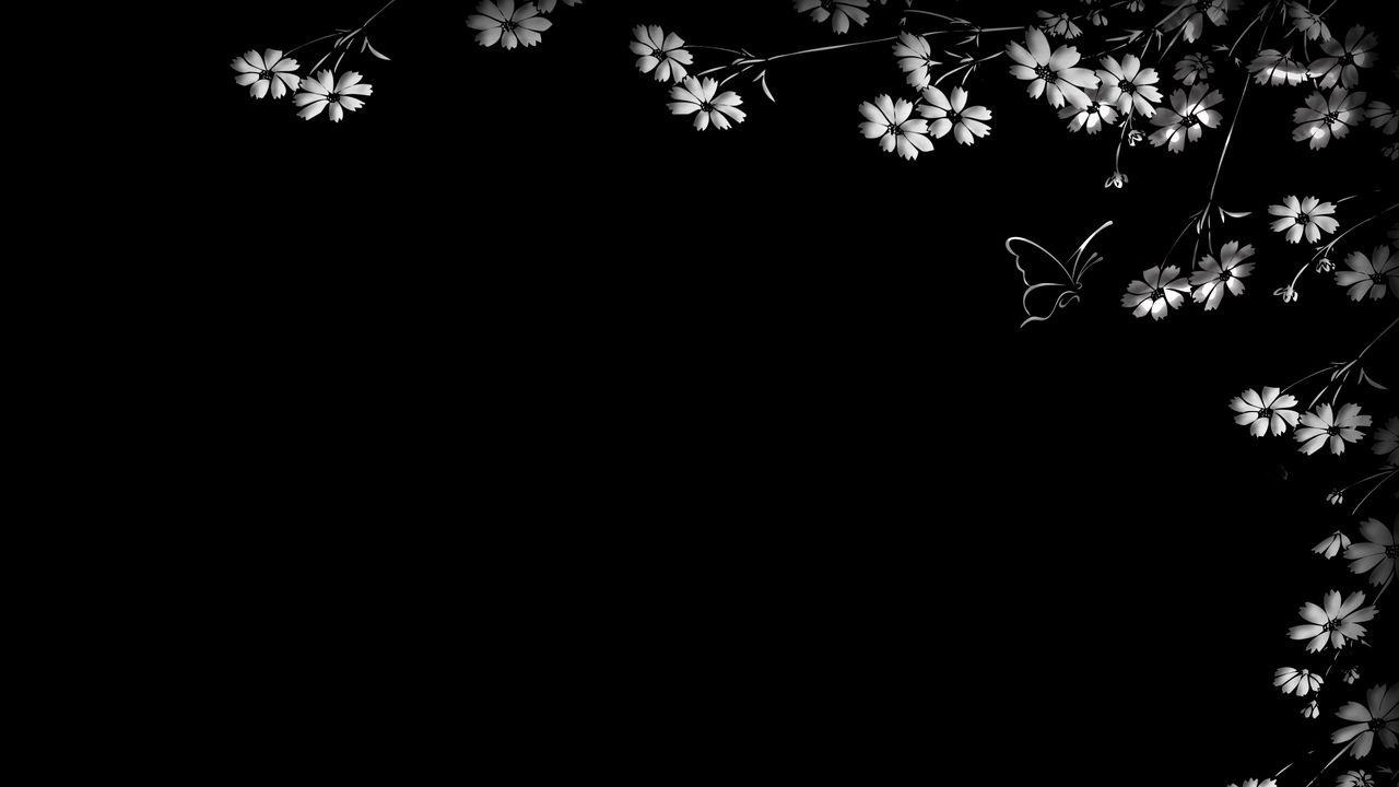 Wallpaper butterfly, flower, black background