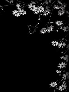 Preview wallpaper butterfly, flower, black background