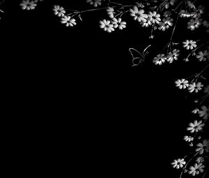 Preview wallpaper butterfly, flower, black background