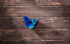 Preview wallpaper butterfly, surface, wooden