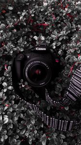 Preview wallpaper camera, lens, strap, plant, bush