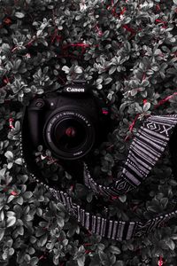 Preview wallpaper camera, lens, strap, plant, bush