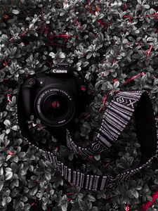 Preview wallpaper camera, lens, strap, plant, bush