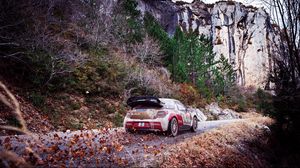 Preview wallpaper citroen, ds3, rally, fall