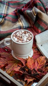 Preview wallpaper cocoa, marshmallow, plaid, book, autumn