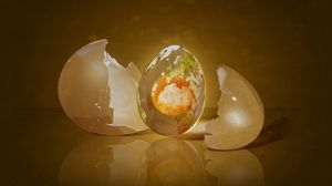 Preview wallpaper egg, shell, shape, light