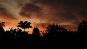 Preview wallpaper evening, trees, outlines, dark, sunset, clouds