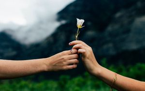 Preview wallpaper flower, hands, blur