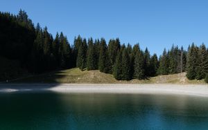 Preview wallpaper forest, lake, stones, shore, nature, landscape