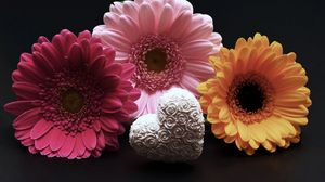 Preview wallpaper gerbera, flower, heart, valentines day