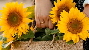 Preview wallpaper girl, bag, sunflowers, hands, flowers