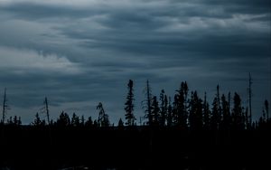 Preview wallpaper grass, silhouettes, evening, sky, dark, blue