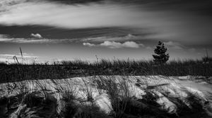 Preview wallpaper grass, snow, field, black and white