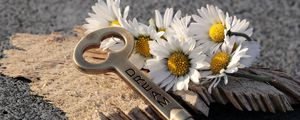 Preview wallpaper key, daisies, inscription, dream