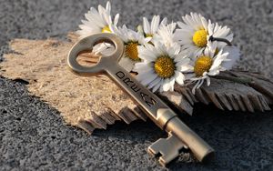 Preview wallpaper key, daisies, inscription, dream