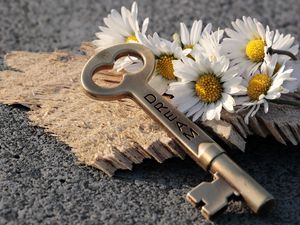 Preview wallpaper key, daisies, inscription, dream