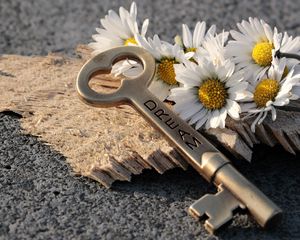 Preview wallpaper key, daisies, inscription, dream