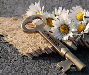 Preview wallpaper key, daisies, inscription, dream