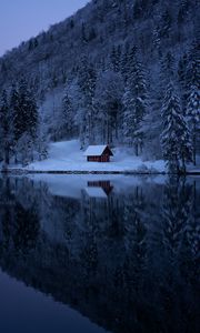 Preview wallpaper lake, forest, snow, winter, trees