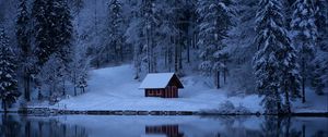 Preview wallpaper lake, forest, snow, winter, trees