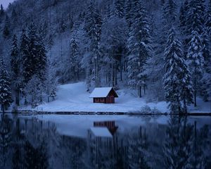 Preview wallpaper lake, forest, snow, winter, trees