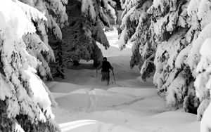 Preview wallpaper man, skiing, snow, winter, forest, nature