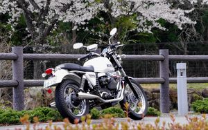 Preview wallpaper moto guzzi v7, moto guzzi, motorcycle, bike, white