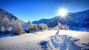 Preview wallpaper nature, forest, dawn, winter, mountains