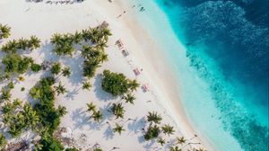 Preview wallpaper ocean, aerial view, coast, palm, sand