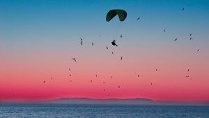 Preview wallpaper paragliding, parachute, sea, flight, birds, horizon