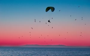 Preview wallpaper paragliding, parachute, sea, flight, birds, horizon