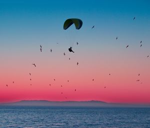 Preview wallpaper paragliding, parachute, sea, flight, birds, horizon