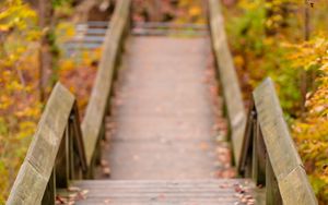 Preview wallpaper path, railings, autumn, fallen leaves