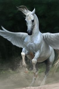 Preview wallpaper pegasus, horse, wings