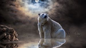 Preview wallpaper polar bear, ocean, reflection, mammal