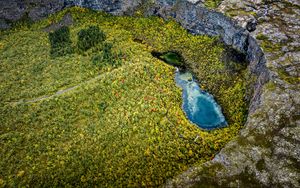 Preview wallpaper pond, trees, forest, crater, aerial view, nature