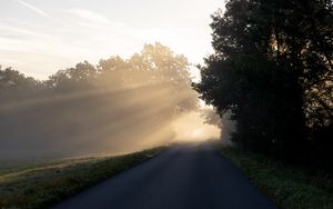 Preview wallpaper road, trees, sunlight, fog, nature