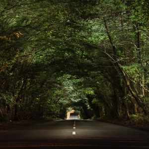 Preview wallpaper road, trees, tunnel, branches, asphalt