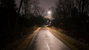 Preview wallpaper road, turn, lights, trees, night, dark