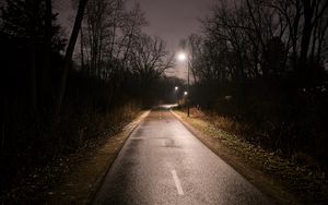 Preview wallpaper road, turn, lights, trees, night, dark