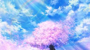 Preview wallpaper sakura, rainbow, art, bloom, sky, clouds