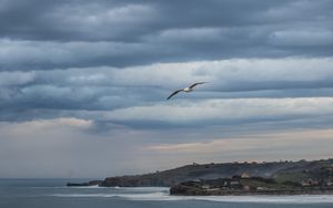 Preview wallpaper seagull, sky, clouds, slope, sea, waves