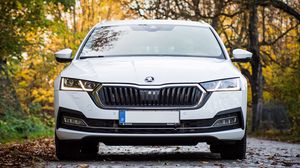 Preview wallpaper skoda octavia, skoda, car, white, front view, autumn