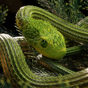 Preview wallpaper snake, green, reptile, scales, 3d