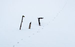 Preview wallpaper snow, footprints, logs, winter, white