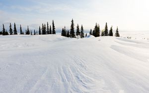 Preview wallpaper snow, trees, snowdrifts, landscape, winter